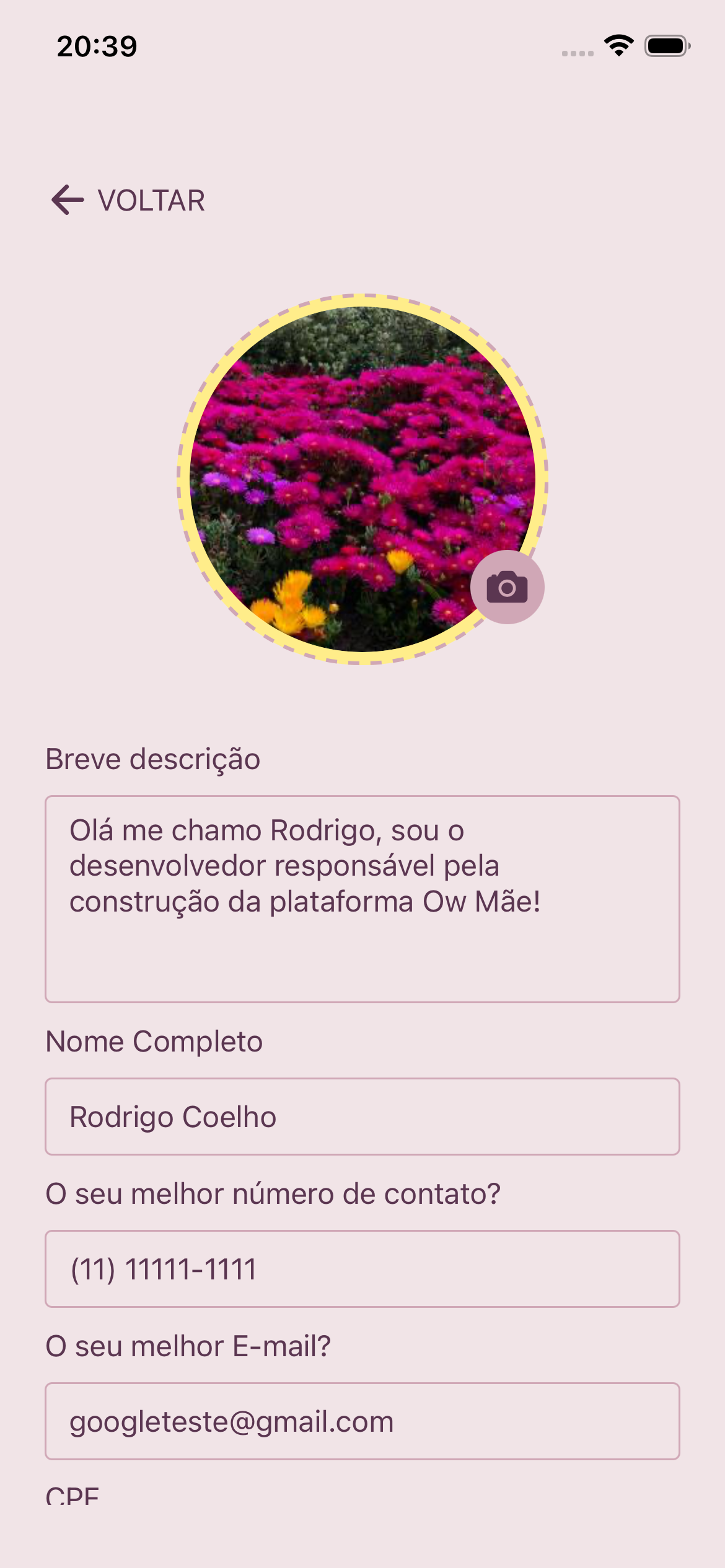 Perfil